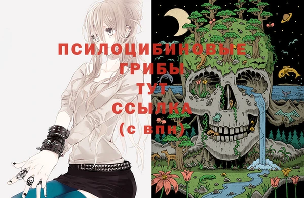 соль ск Абинск