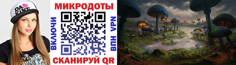 где купить наркотик Челябинск mega как войти Псилоцибиновые грибы ЛСД