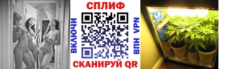 Канабис план  купить наркотик  Челябинск 